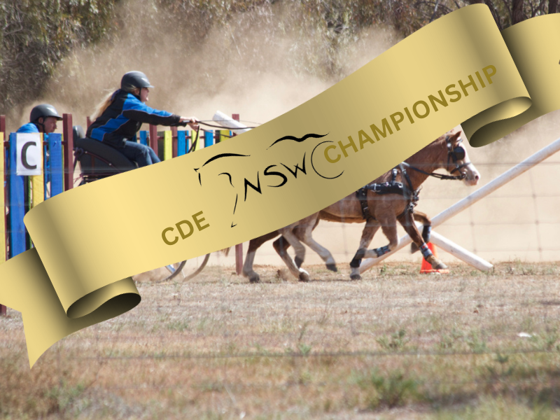 Carriage Driving Championship is on at Gundagai this weekend. 
