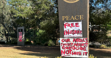Activists call for a 'Free Palestine' at Wagga's Rotary Peace Monument