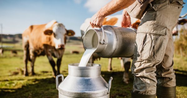 Is the rising cost of dairy milking you dry? We've got some tips for saving money