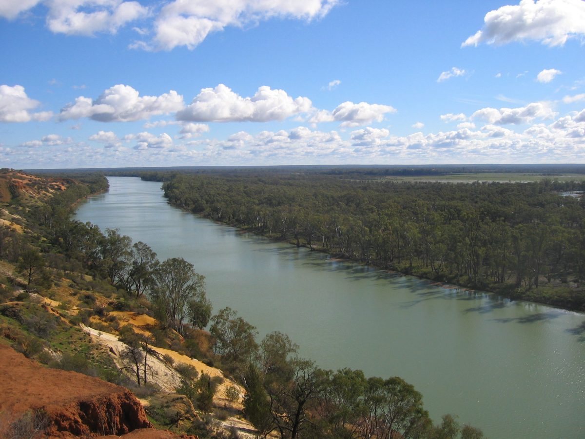 Murray River aerial shot
