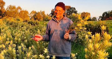 Riverina Made: Jeremy Hagenback tapping into Mother Nature's nurture for beautiful blooms