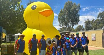 Rubber ducks to flood the river at Wagga Beach this Australia Day