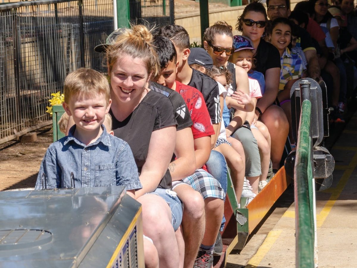 The historic Willans Hill Miniature Railway will roll into action this Sunday. 