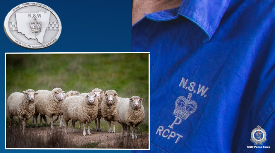 collage of images of sheep and NSW police logos