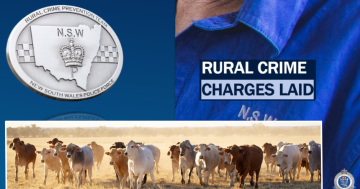 DNA clues lead to arrest of Adelong man over alleged theft of boss's cattle