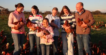 Chicken farming family showcase free range success at new store in Holbrook