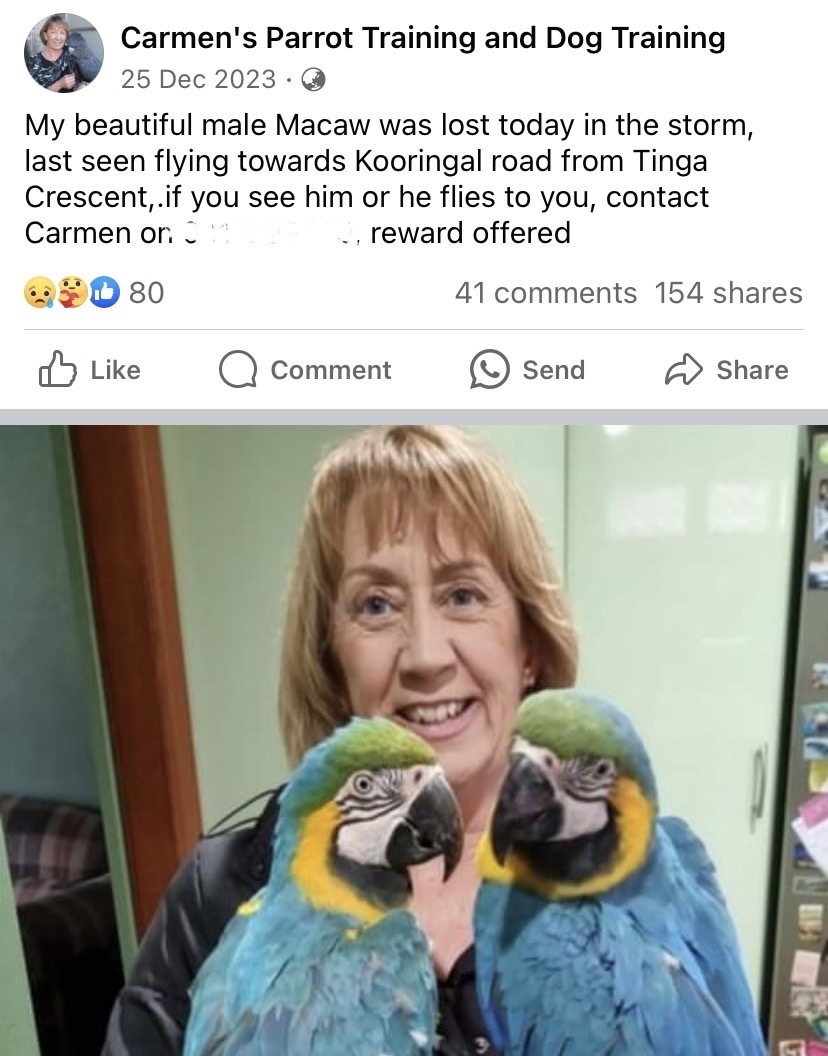 Facebook screenshot of woman and two pet macaws