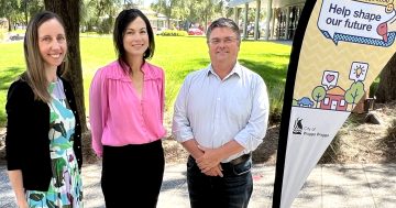 Think beyond the potholes: Wagga City Council calls on the community to shape the vision for future