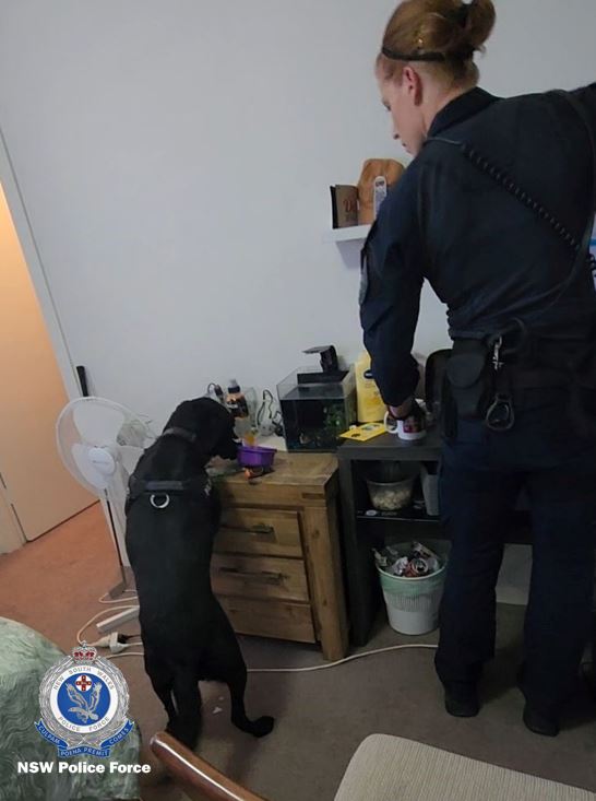 Police with sniffer dog