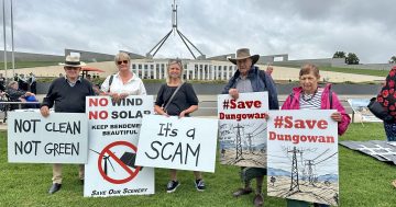 'Net zero is a lie': farmers converge on Parliament House lawns to protest renewable energy