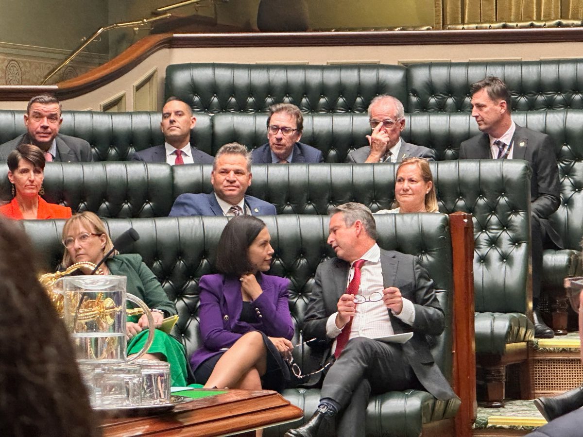 Crossbench members including Dr McGirr returned to parliament this week. 