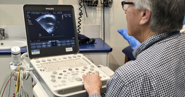 Critical cardiac care machine now close to home for Riverina babies