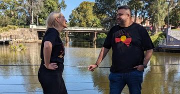 Where there's a Wil, there's a laugh: Wagga Comedy Fest promises big-name line-up