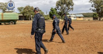 Police appeal for information over two-year-old's death in the Riverina