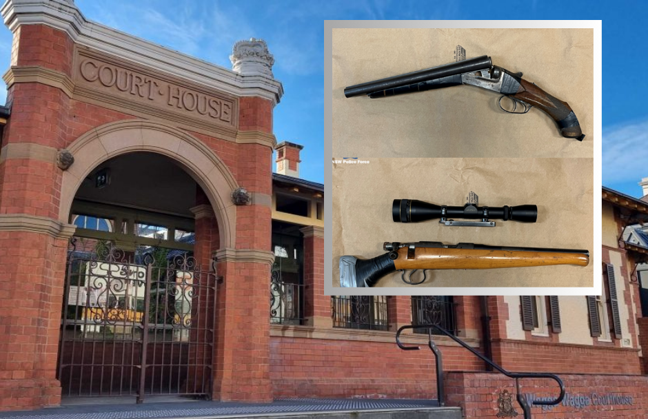 courthouse building and firearms