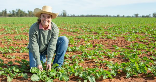 New program for the Riverina aims to get young farmers off to a good start