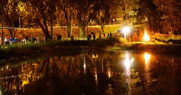 Whimsical and wondrous light event to brighten up night skies in the Riverina