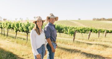 Hilltops region's oldest vineyards named among the top 41 'young guns' nationally