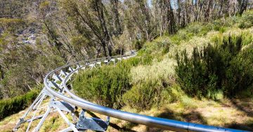 Thredbo's new Alpine Coaster a Southern Hemisphere first
