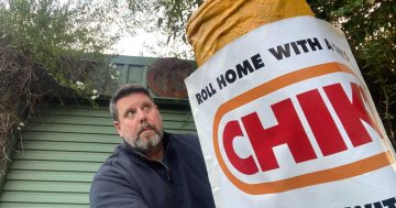 Wagga artist to unveil 'world’s largest' Chiko Roll