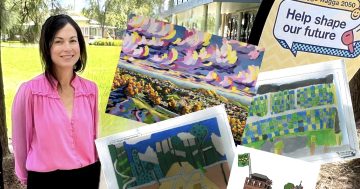 Entries flooding in as artists celebrate 'why we love Wagga'