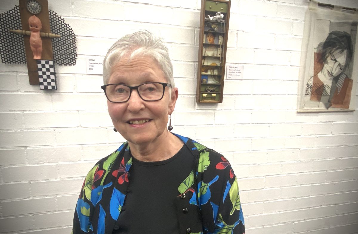 PICTURES and THINGS is Wagga artist Carol Slattery's first solo exhibition.