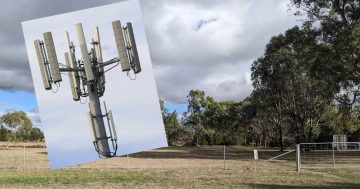 Decision finally made on controversial Optus mobile tower
