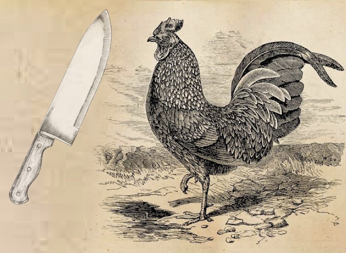 A drawing of a chicken and a knife