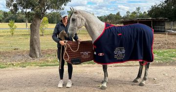 Holbrook endurance riders scoop three wins out of three in challenging 100-km competition