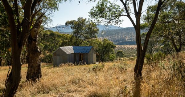 Northern parts of Kosciuszko National Park closed to the public