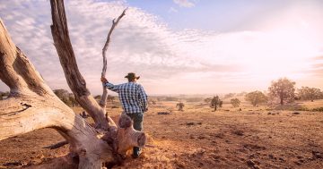 Grassroots efforts aim to enhance drought preparedness in the Riverina
