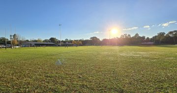 Wagga's McPherson Oval secures more than $700k upgrade for female athletes