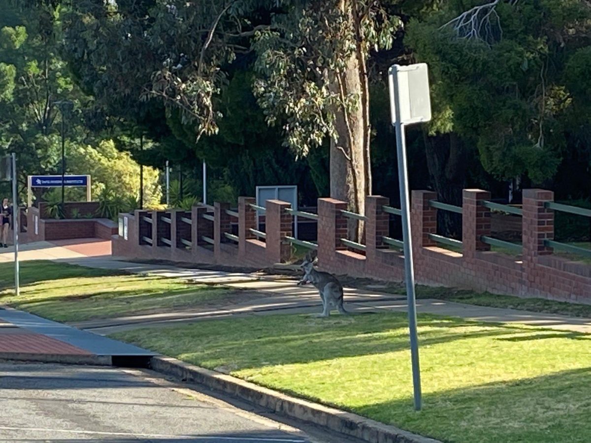 Outside of Wagga TAFE 