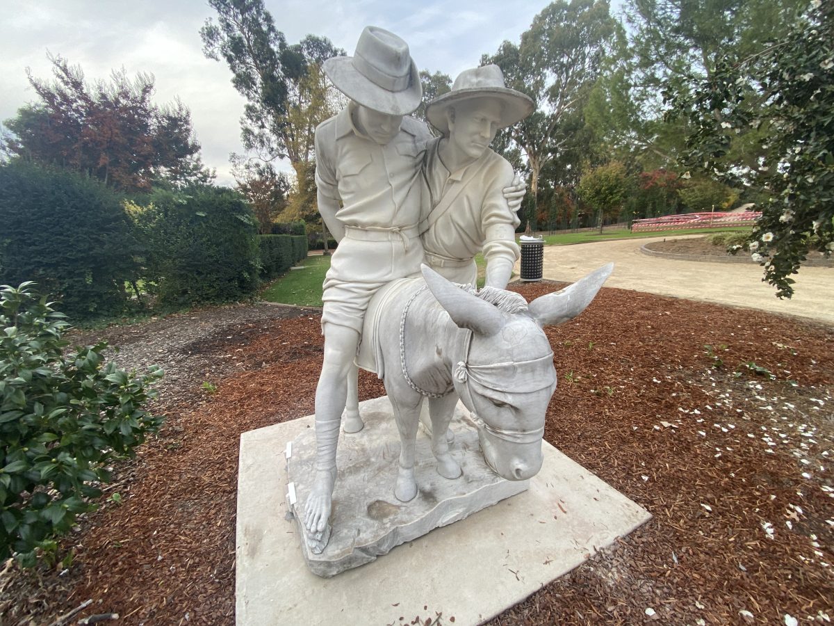 The new statue in Wagga's Victory Memorial Gardens depicts 'Simpson and his donkey'.