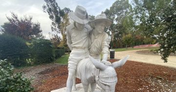 Riverina Rewind: Simpson and his donkey have arrived in Wagga's Victory Memorial Gardens