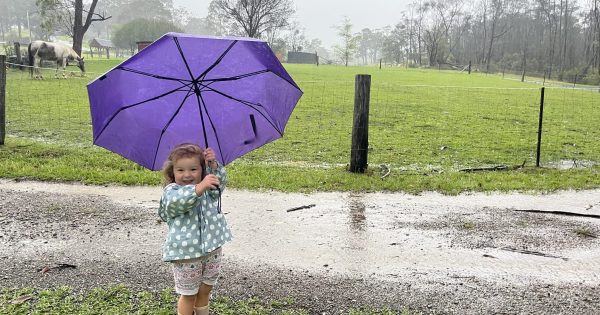 Friday to bring potentially severe storms, wind and hail to south-east NSW, Riverina