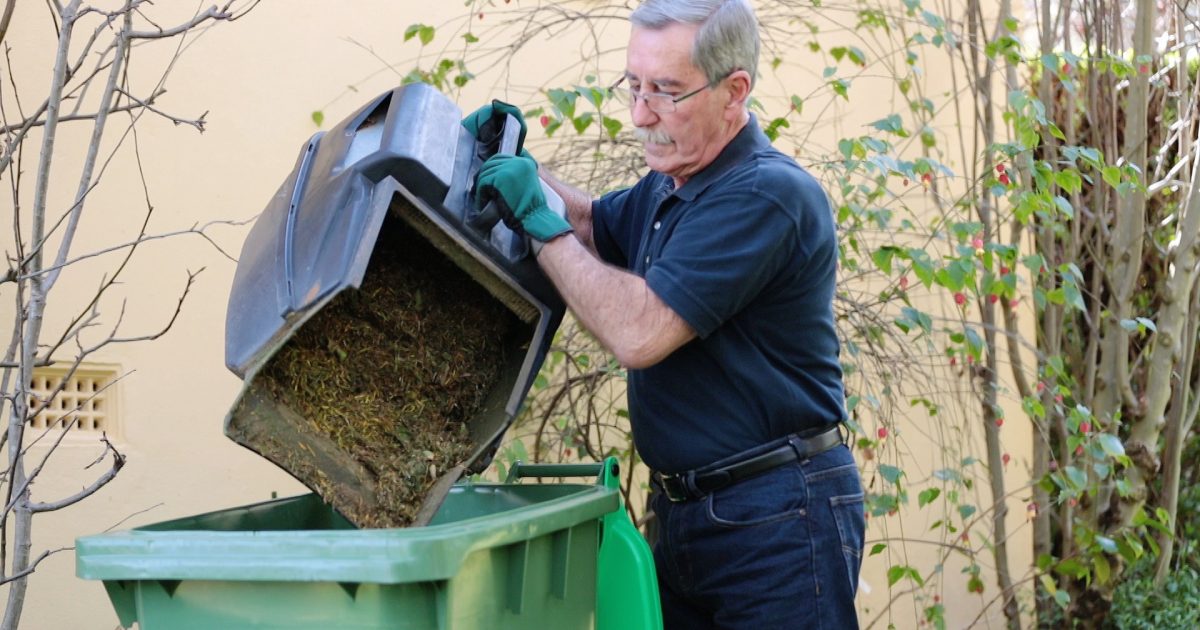 Time to get rubbish sorted as more councils go to three bins and 'FOGO