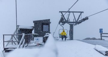 Skier, 22, dies in second incident in weeks at alpine resorts