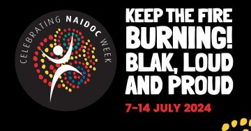 Wagga Wagga to celebrate NAIDOC Week 2024 with diverse events