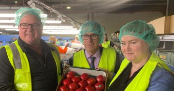 She's apples: Batlow Fruit Company finishes upgrades following bushfires