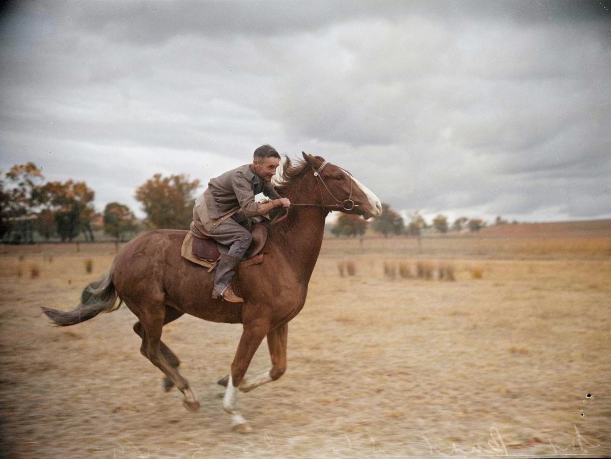 Frank Burt sets a cracking pace across a paddock at Borambola.