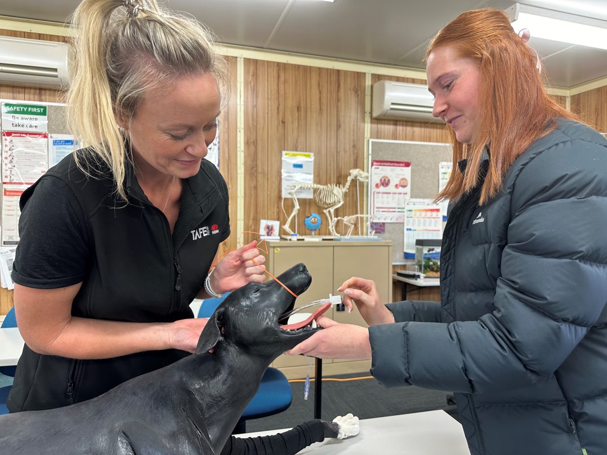 Vet nursing students at TAFE NSW will be able to practise their skills on a state-of-the-art dog mannequin named Sheila