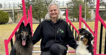Dog obedience club looking to lure new recruits to training facility