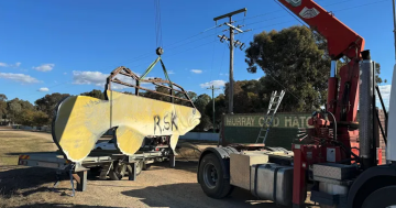 Oh my Cod! GoFundMe launched to resurrect Wagga's iconic Murray cod