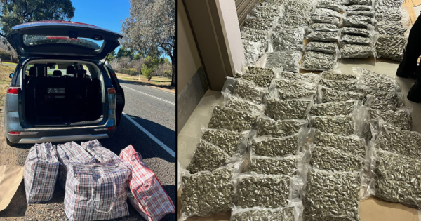 Riverina Highway Patrol officers allegedly seize five storage bags containing nearly 50 kg of cannabis