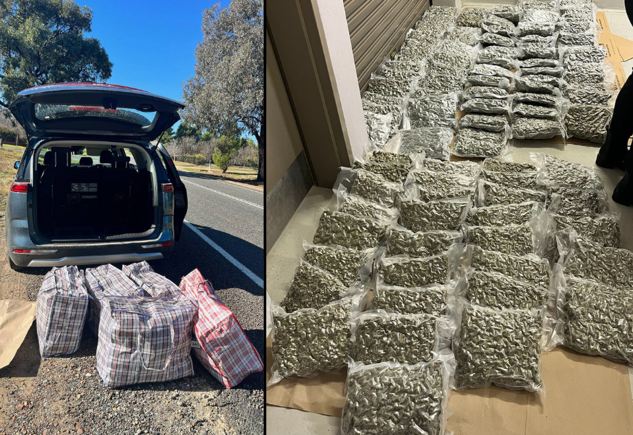 Police allegedly seized cannabis in Temora 