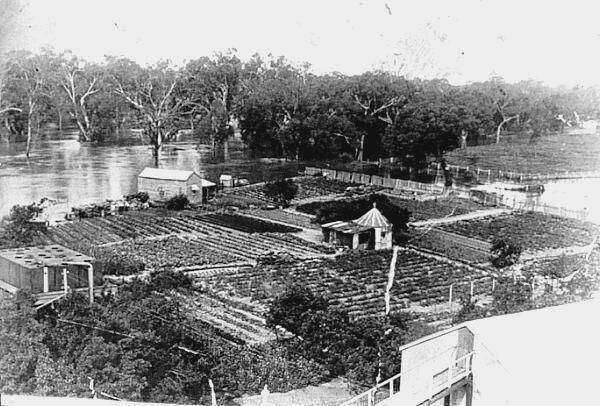 Deniliquin's Chinese market garden in flood. 