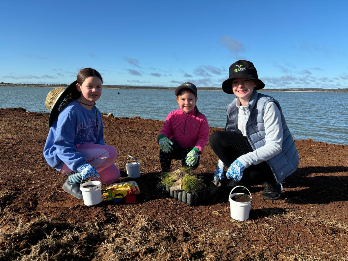 kids planting trees