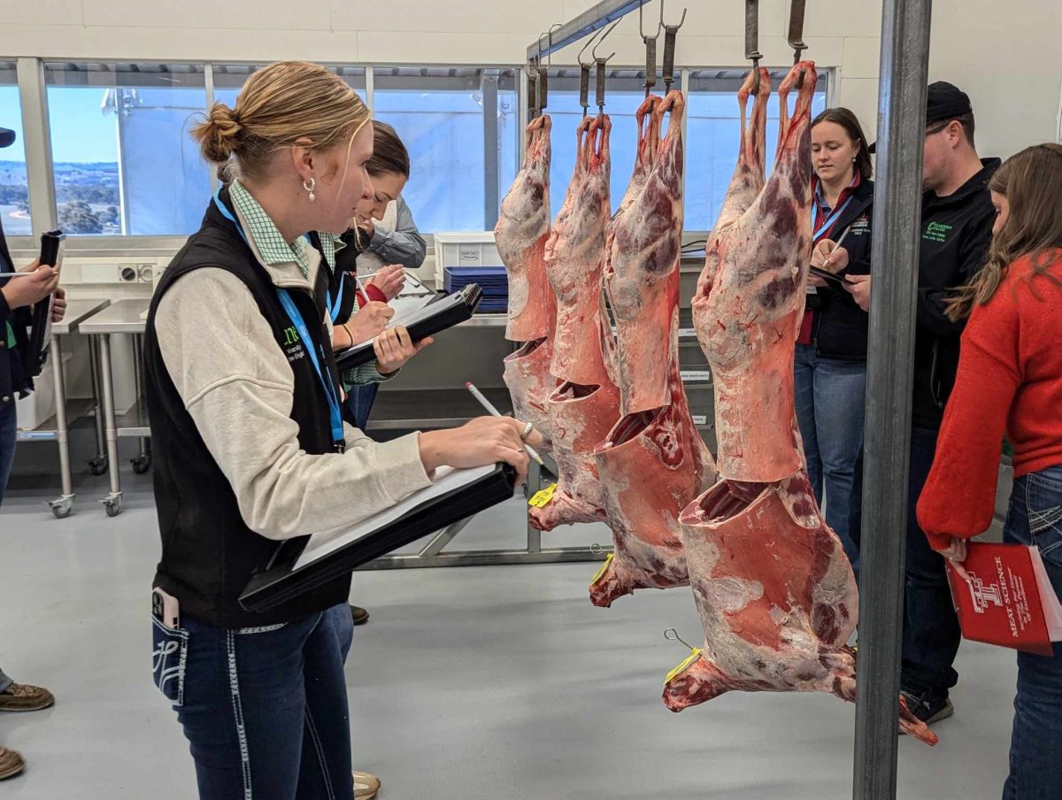 Students from across the world have gathered in Wagga for the 2024 Intercollegiate Meat Judging Association (ICMJ) National Conference. 