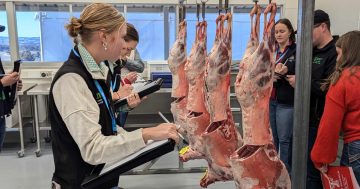 Students from across the world land in Wagga for meat judging conference